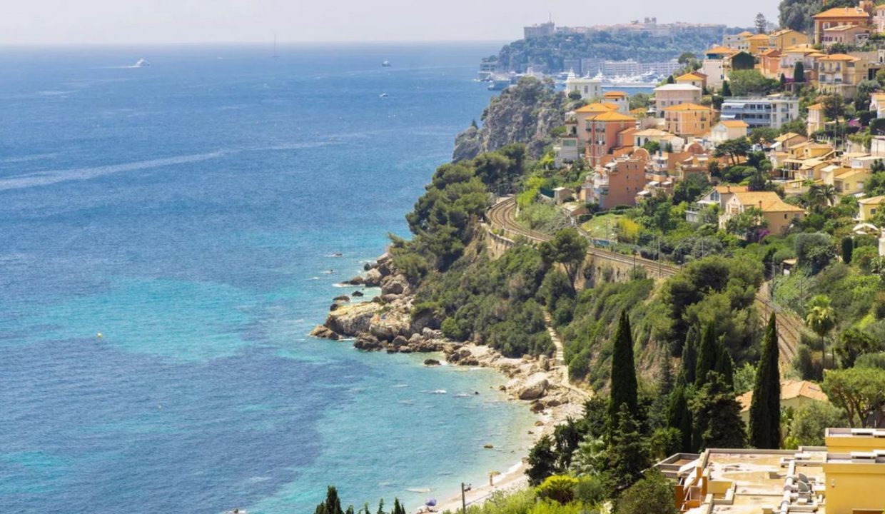 elanie (4)
